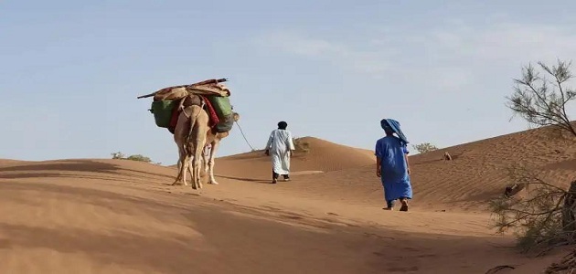شجرة مطير كاملة من الجد الأكبر