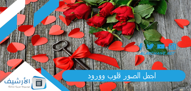 اجمل الصور قلوب وورود 2025 صور قلوب حب 1 اجمل الصور قلوب وورود