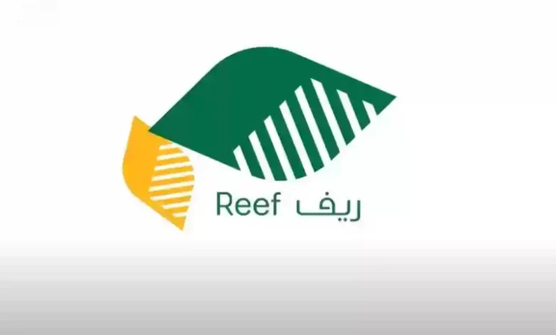 دعم ريف تجفيف النعناع كم قيمته وكيف استفيد منه؟!