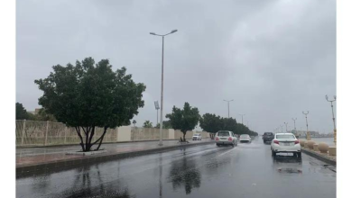 طقس السعودية لا ينذر بالخير على هذه المناطق