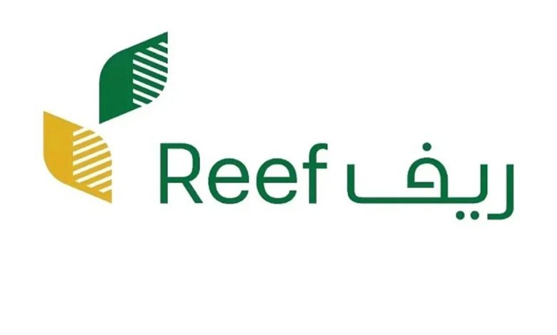 للمتقاعدين | متطلبات وشروط التسجيل في دعم ريف 1445 وخطوات التسجيل الصحيحة