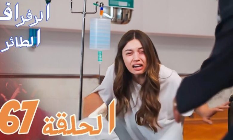 مسلسل الطائر الرفراف الحلقة 67