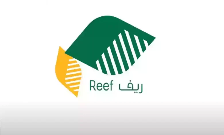 رقم الجوال المسجل في ريف