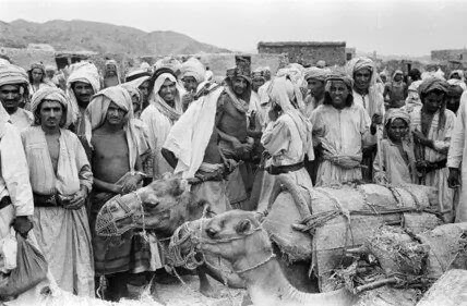 هذه اكبر قبيلة في السعودية