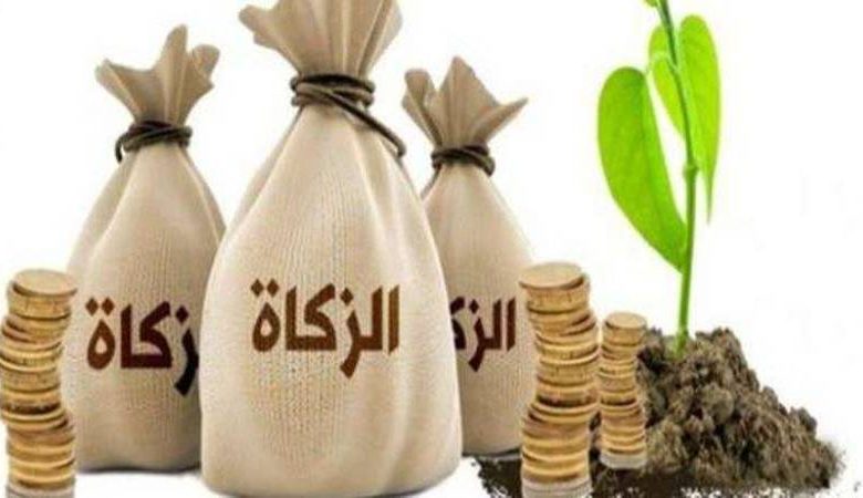 هل اخرج زكاة الفطر عن الخادمة