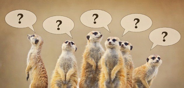 اسئلة صعبه عن الحيوانات