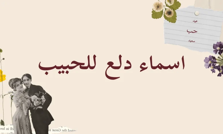 اسماء دلع للحبيب بالعربي
