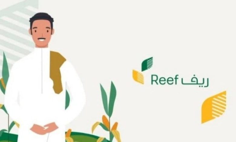 شروط استحقاق الدعم الريفي