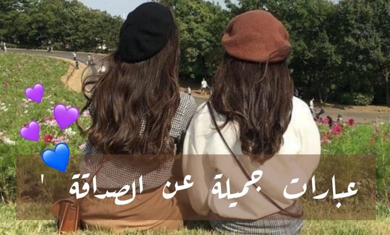 عبارات عن الصداقة