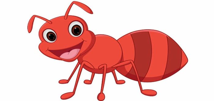 نكت مضحكة موت قصيرة عن النمل 2025 سامجة 1 نكت مضحكة موت قصيرة عن النمل