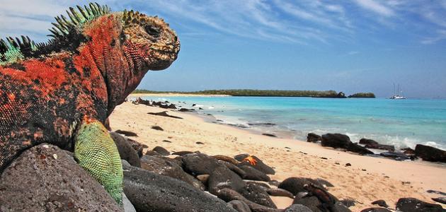 أين تقع جزر غالاباغوس