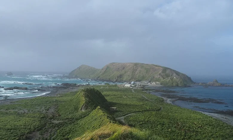 أين تقع جزيرة ماكواري