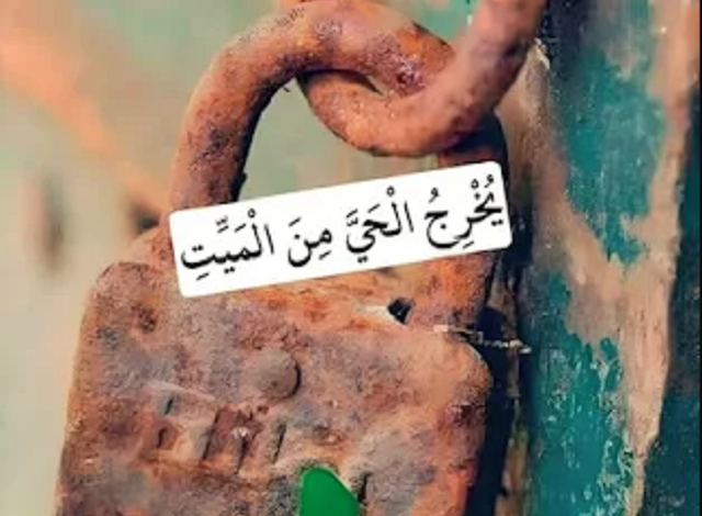 اروع الصور للواتس للبنات
