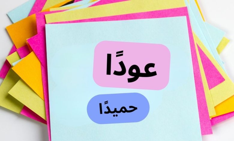 الرد على عودا حميدا