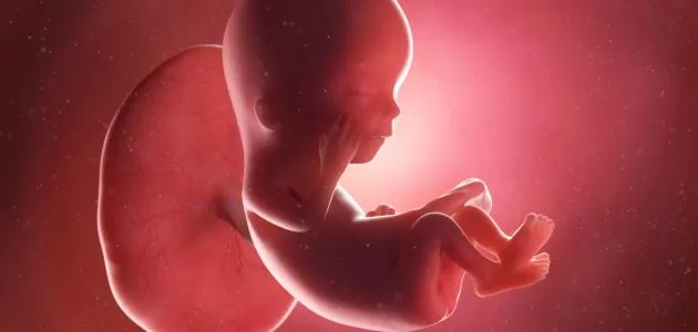 تجاربكم مع انفصال المشيمة الجزئي