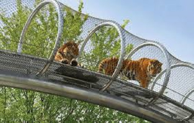 أبرز 5 مدن سياحية في الولايات المتحدة