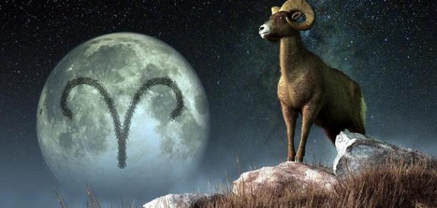 شريك حياة برج الجدي