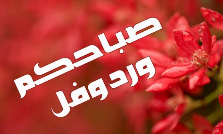 صباح الخير منظر جميل