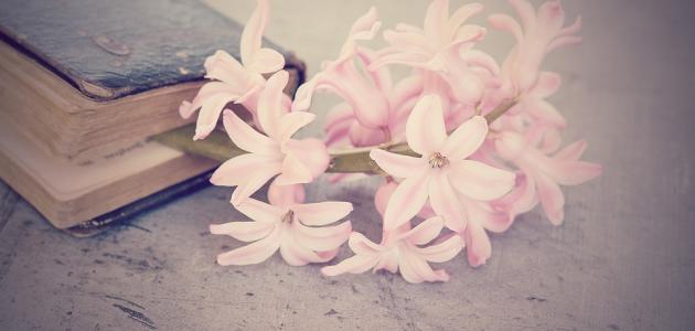 عبارات حلوه قصيره