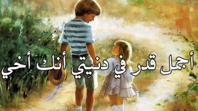عبارات عن الاخ الصغير