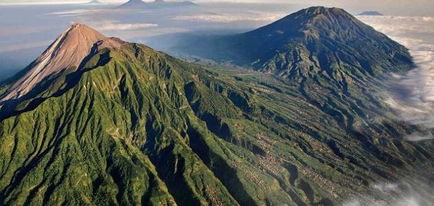 في أي دولة تقع جزيرة جاوة
