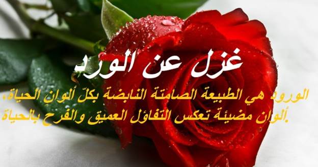 كلام غزل عن الورد