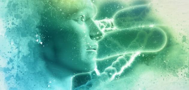 موضوع تعبير عن الأحياء