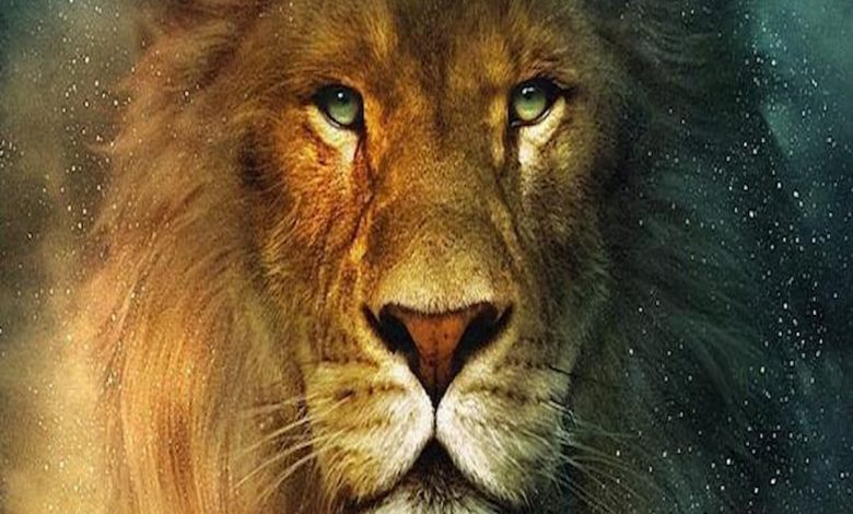 أسئلة يحبها برج الأسد رجال ونساء