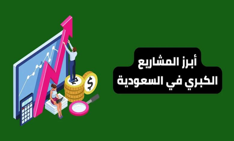 أبرز 5 مشروعات لها مستقبل في السعودية 0 (1)