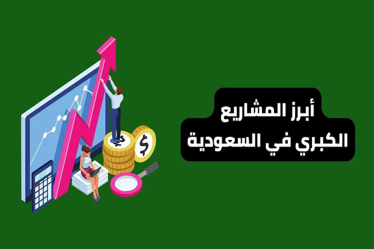 أبرز 5 مشروعات لها مستقبل في السعودية 0 (1)