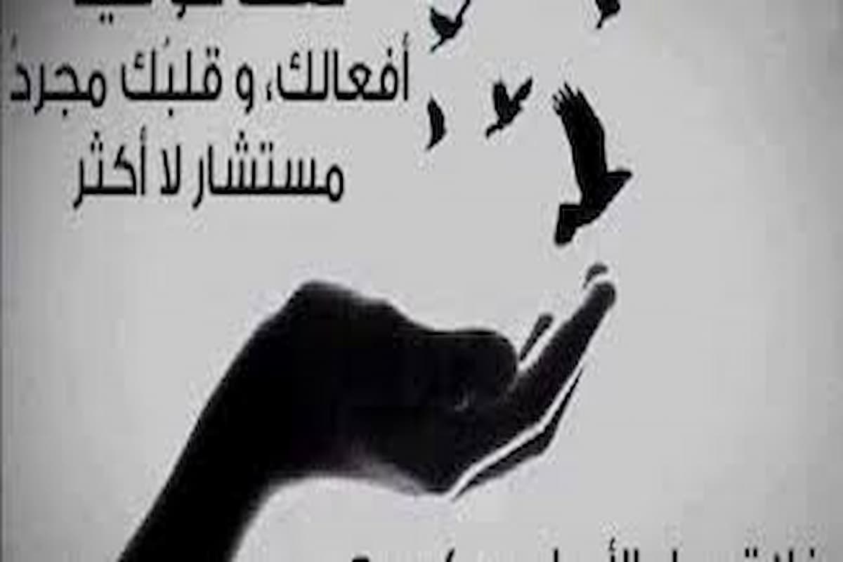 أجمل عبارات راقية عن الحياة والناس