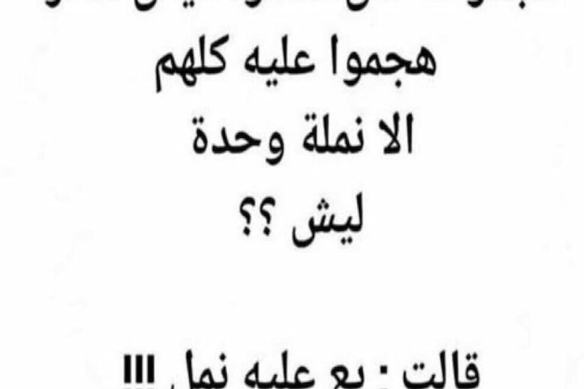 ابيخ نكتة سامجة بس تضحك 2025 نكت بايخة 1 ابيخ نكتة سامجة بس تضحك