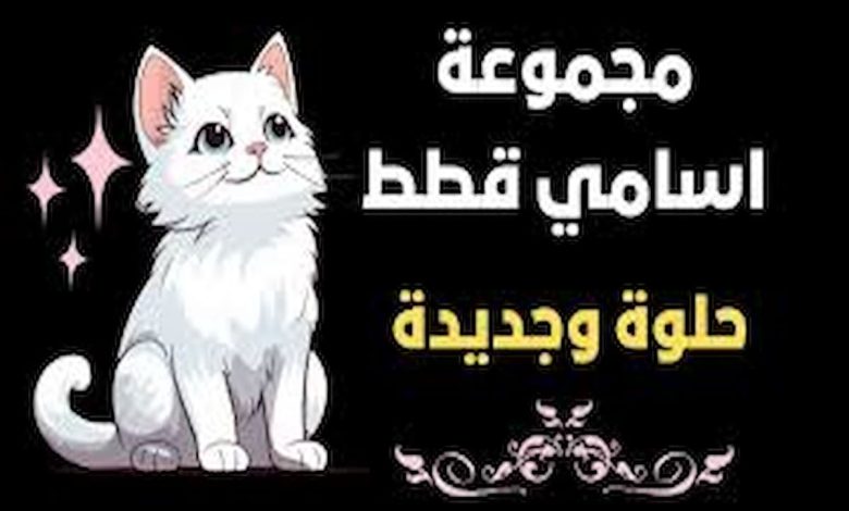 اسامي قطط بيضاء اناث