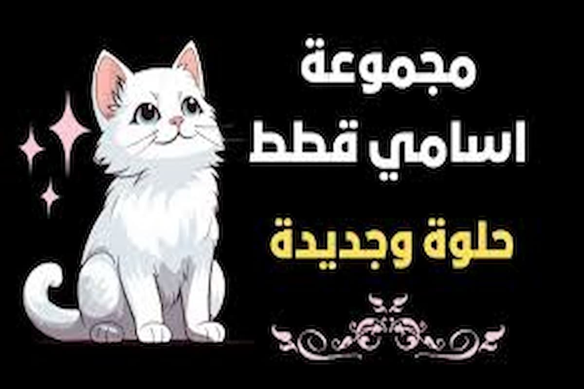اسامي قطط بيضاء اناث