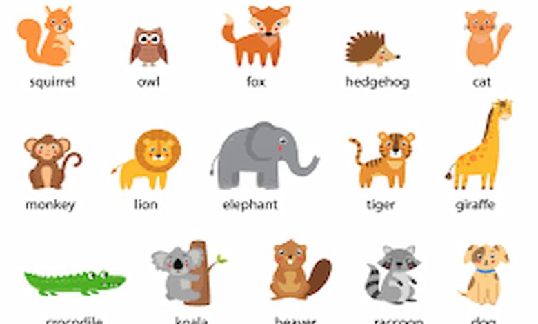 اسماء الحيوانات بالانجليزي