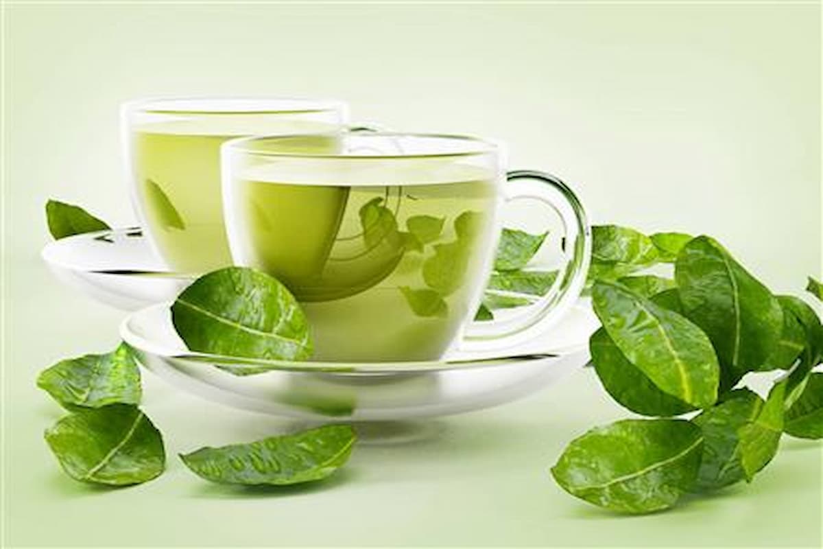 تجربتي مع شرب الشاي الأخضر على الريق للتخسيس 1 الشاي الأخضر على الريق للتخسيس
