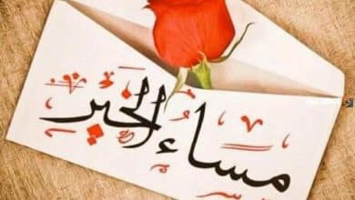 بوستات مساء الخير