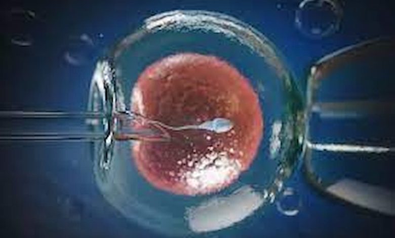 تجربتي مع الحقن المجهري للإنجاب