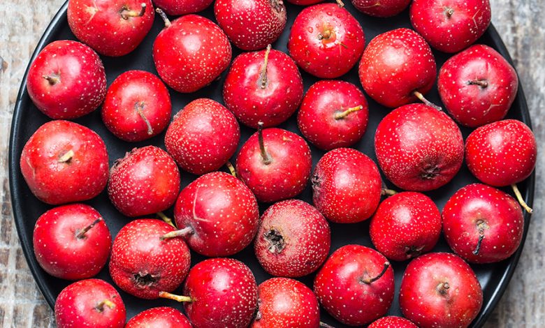 تجربتي مع الزعرور