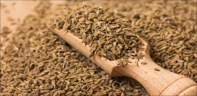 تجربتي مع اليانسون لزيادة الوزن