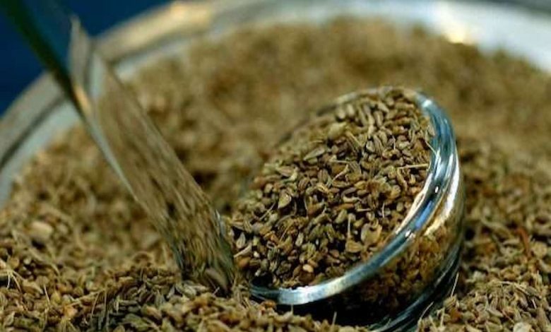 تجربتي مع اليانسون للصوت