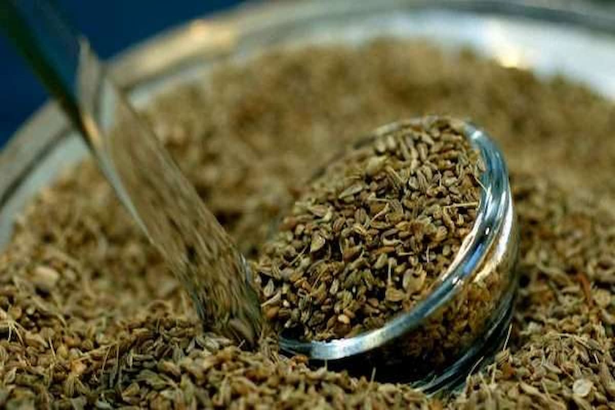 تجربتي مع اليانسون للصوت وعلاج البحة الصوتية 1 تجربتي مع اليانسون للصوت
