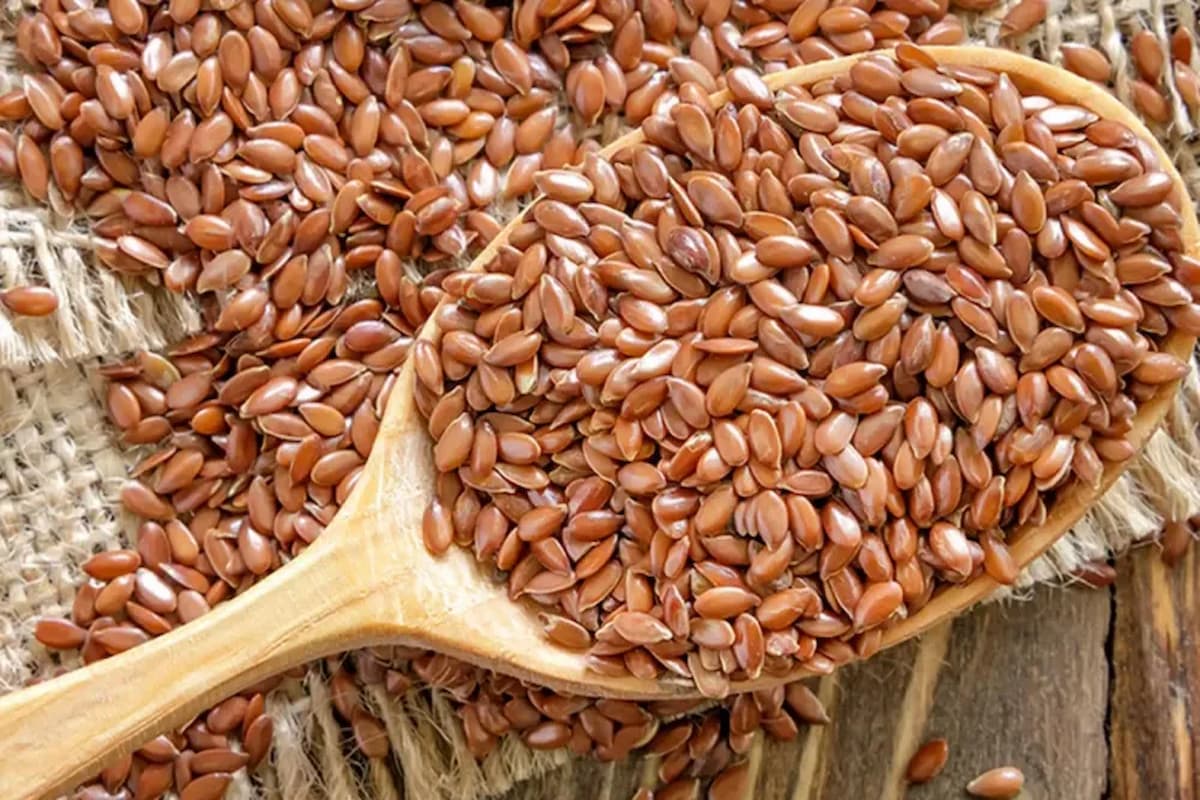 تجربتي مع حب الرشاد لزيادة الوزن والتخلص من النحافة 1 تجربتي مع حب الرشاد لزيادة الوزن