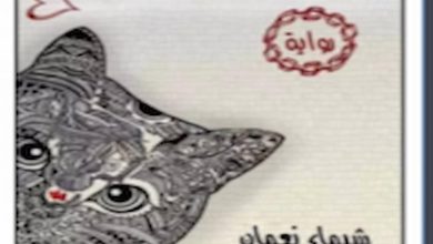 تحميل رواية قطة حطمت اسواري