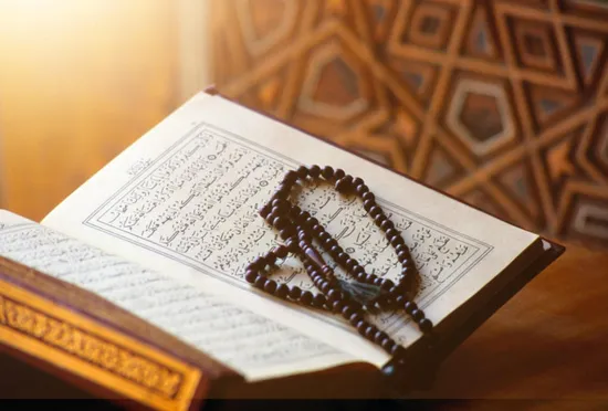 زين منزلك بأعطر التلاوات | تردد جميع قنوات القران الكريم (قناة المجد - القرآن الكريم - السنة النبوية - مكة) 1 تردد جميع قنوات القران الكريم