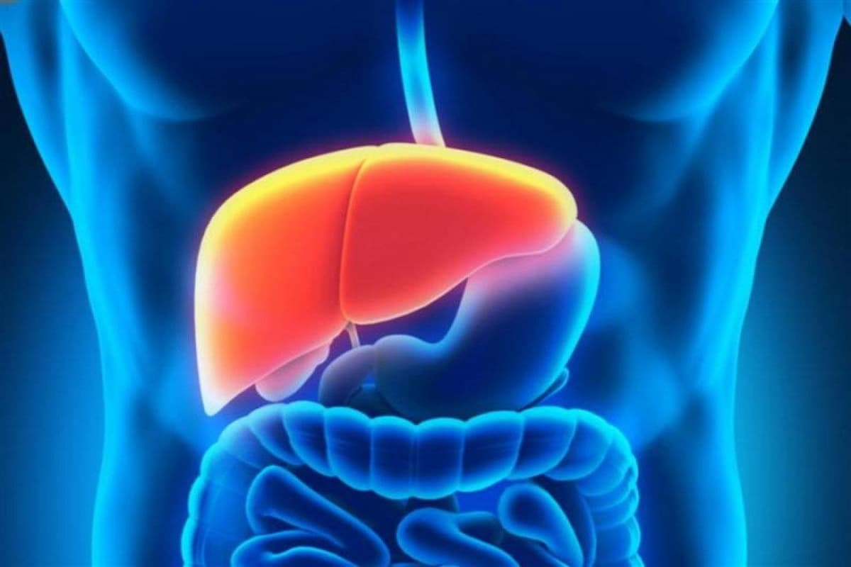 تضخم الكبد أسبابه وعلاجه وطرق التخلص منه 1 تضخم الكبد أسبابه