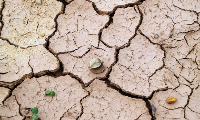 تفسير تحرك الأرض في المنام