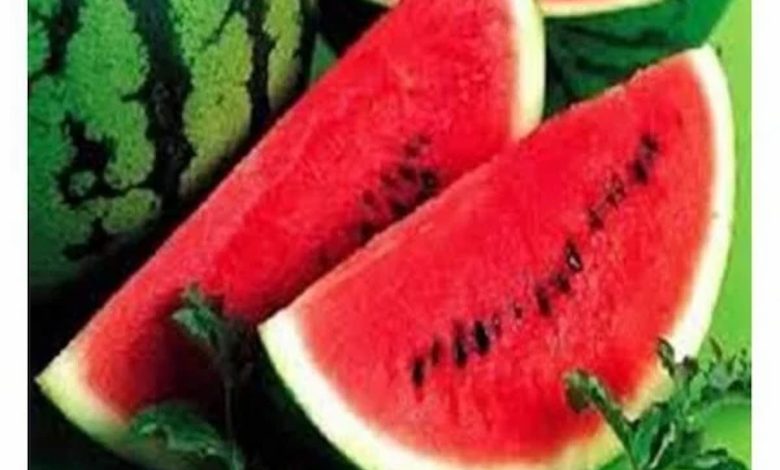 تفسير حلم إهداء البطيخ