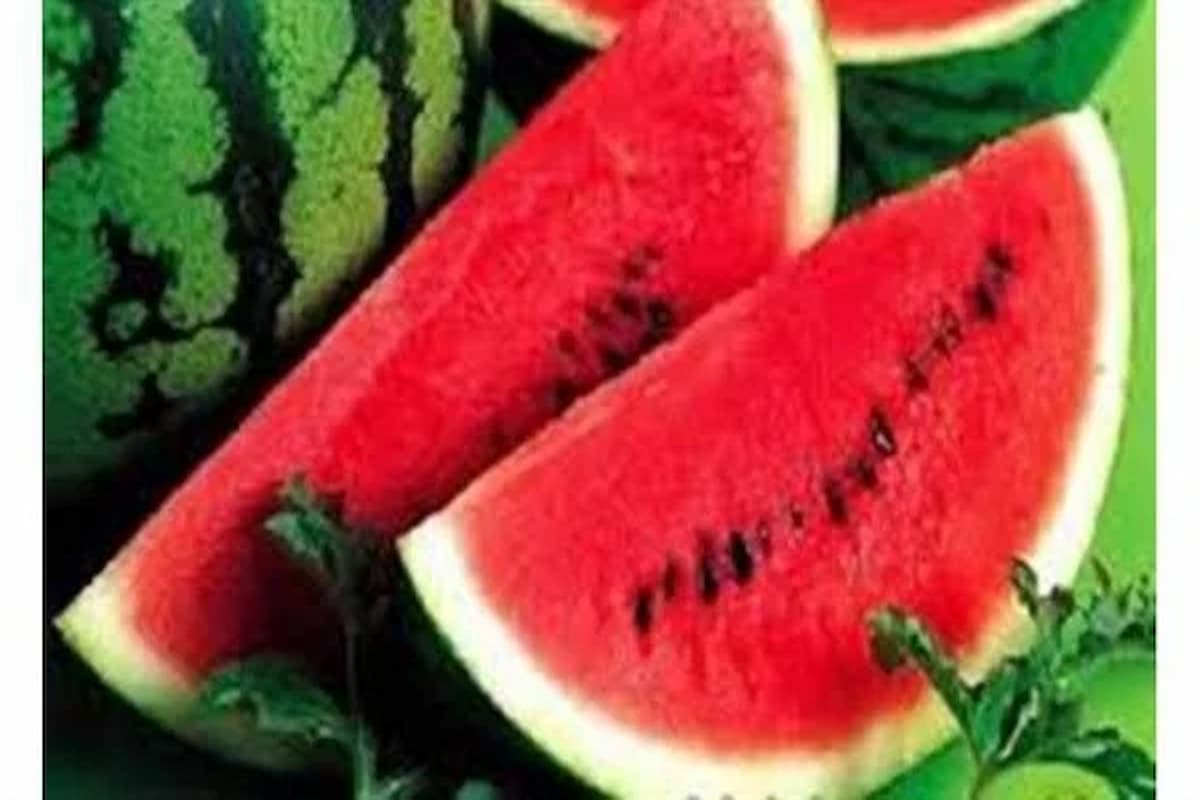 تفسير حلم البطيخ للرجل المتزوج ابن سيرين 1 تفسير حلم إهداء البطيخ