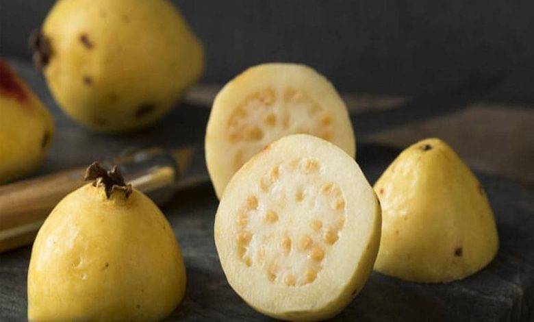 تفسير حلم الجوافة الخضراء